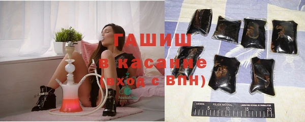 индика Алзамай