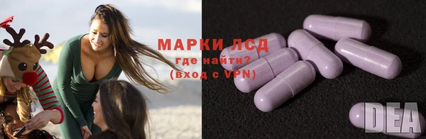 индика Алзамай